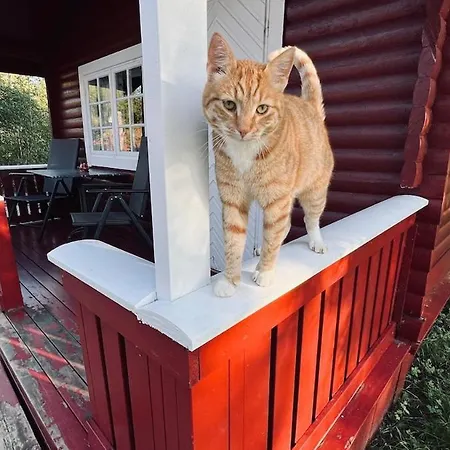 Campinghytte I Skogen - En Time Fra Oslo Rakkestad